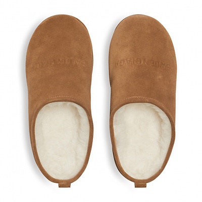 Balenciaga Alaska Soft Mule in Brown 825258WBFC12200 (Коричневый) - фото 4 