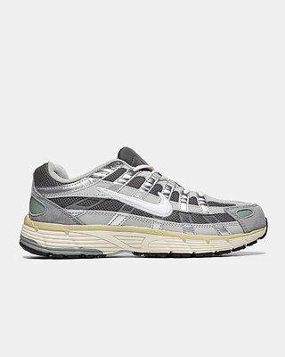 Nike P-6000 Light Iron Ore Beige FN7509-029 (Серый) - фото 1 Hypebery