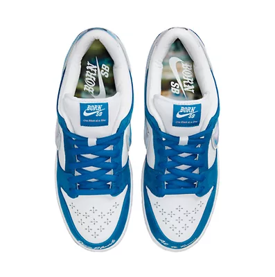 Nike SB Dunk Low x Born x Raised FN7819-400 (Белый) - фото 3 